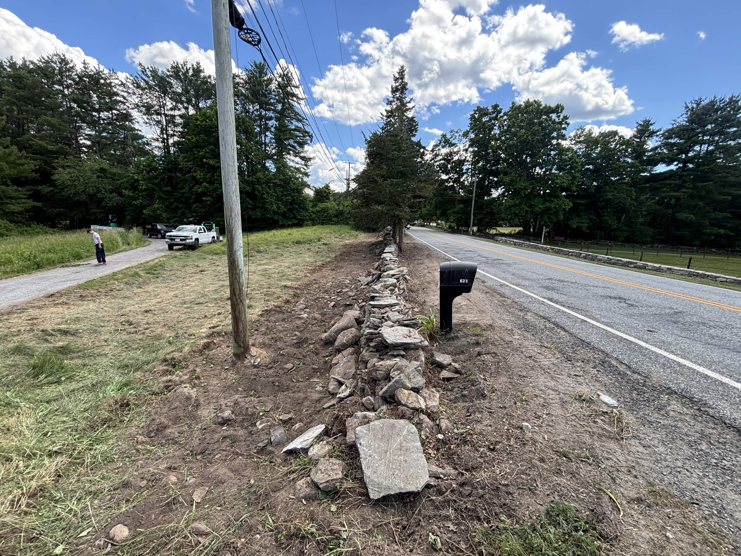 Final cleared result — property reclaimed from poison ivy